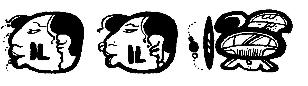 Figure 5. A Lady Six Sky on a Plate in Brussels (Drawing by Sebastien Matteo)