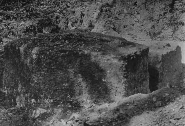 Stone quarry at Calakmul
